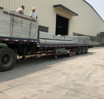 2019苗床發(fā)貨 2019苗床發(fā)貨